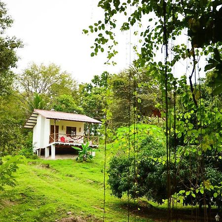 Istmo Beach And Jungle Bungalows San Carlos Exteriör bild