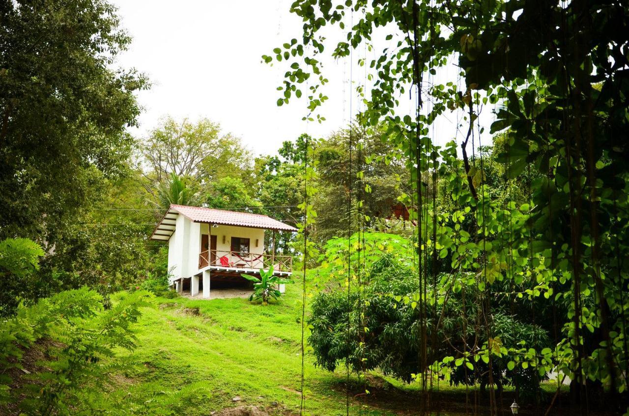 Istmo Beach And Jungle Bungalows San Carlos Exteriör bild