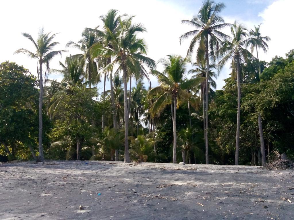 Istmo Beach And Jungle Bungalows San Carlos Exteriör bild