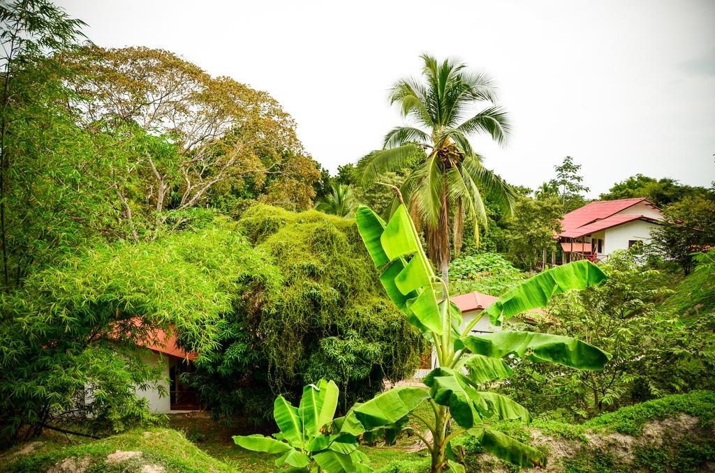 Istmo Beach And Jungle Bungalows San Carlos Exteriör bild