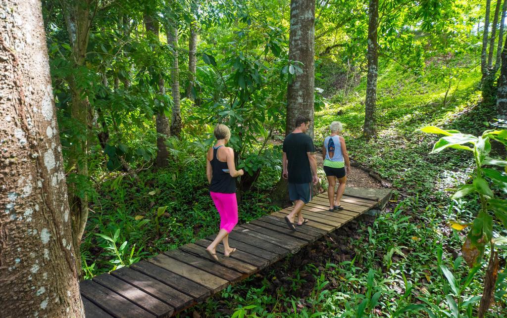 Istmo Beach And Jungle Bungalows San Carlos Exteriör bild